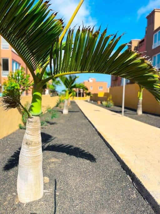 Apartamento Casa Bamboo Corralejo, Espacioso, Piscina Y Parking Exterior foto